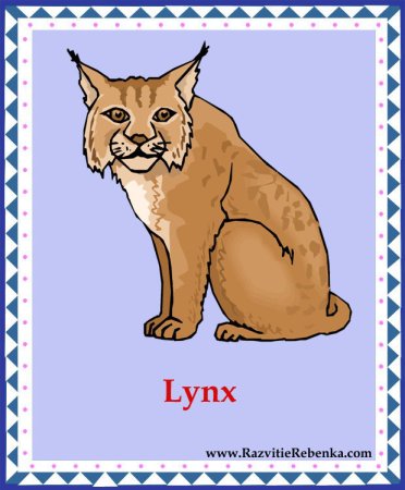 Дикие животные английский для детей