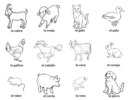 Животные для детей раскраски карточки