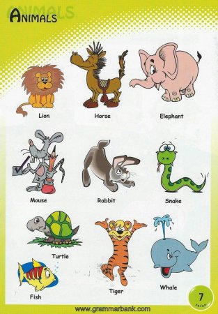 Animals Vocabulary английский язык