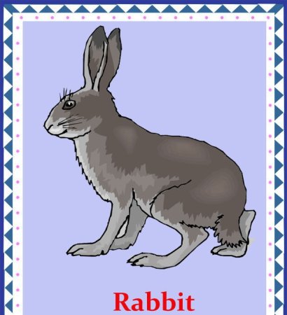 Заяц карточка для детей