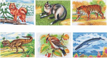 Пищевые цепи (цепи питания, трофические цепи) – это