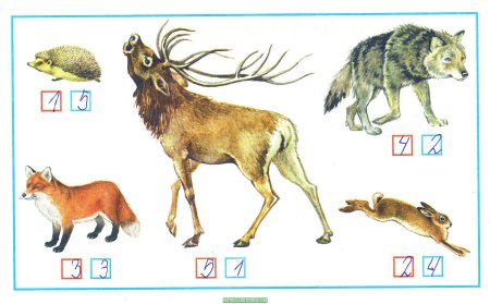 Связь между живой и неживой природой схема