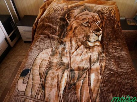 Котик в одеяле