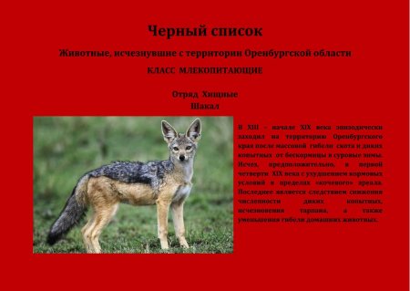 Животного из красной книги Оренбургской области
