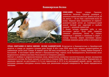 Животные Оренбургской области занесенные в красную
