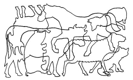 Животные задания для дошкольников