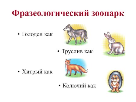 Фразеологизмы про животных