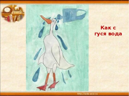 Как с гуся вода