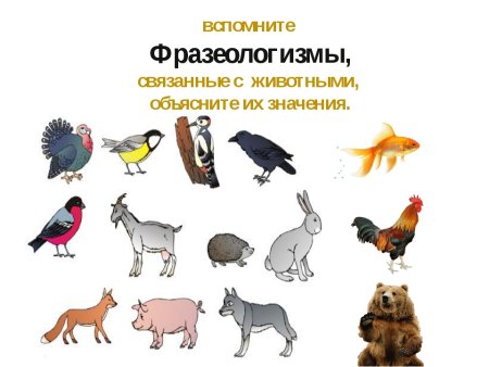 Фразеологизмы рисунки
