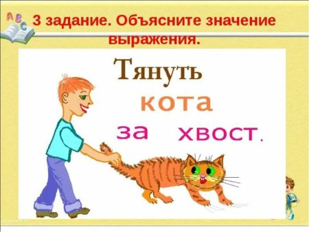 Кот наплакал