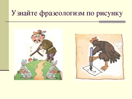 Фразеологизмы про животных