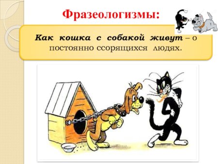 Крокодильи слезы фразеологизм