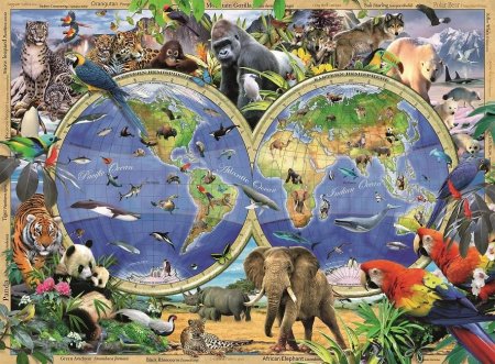 Животные планеты земля