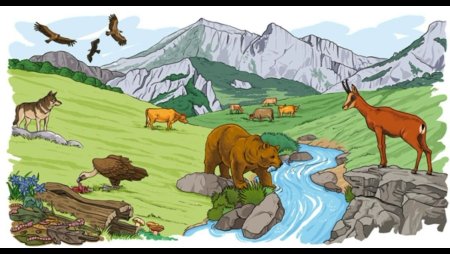 Местообитание животных для детей