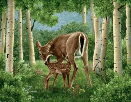 Животные в березовой роще