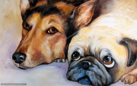 Собака рисунок