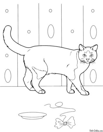 Домашние питомцы. Раскраска