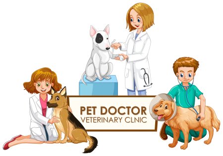 Ветеринар на прозрачном фоне