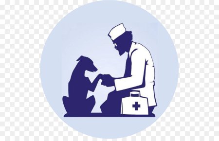 Плакаты для ветеринарной клиники