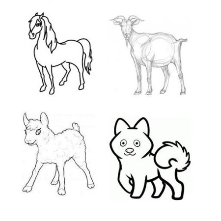 Простые рисунки домашних животных