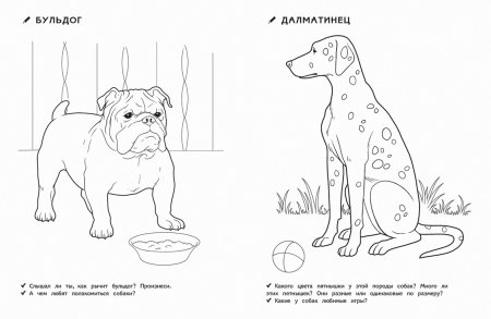 Раскраски домашних питомцев