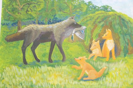 Животные сур кого края