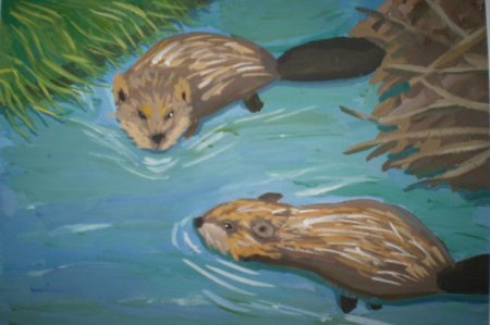 Животный мир Сурского края рисунки