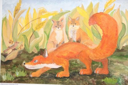 Конкурс рисунков животных