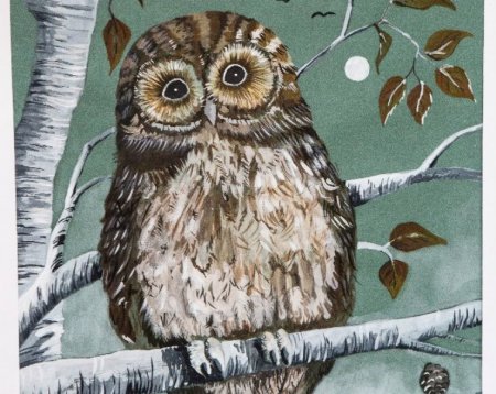 Животные сур кого края