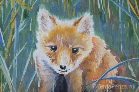 Животный мир Сурского края