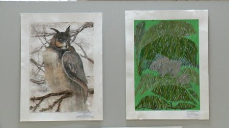 Животные Сурского края