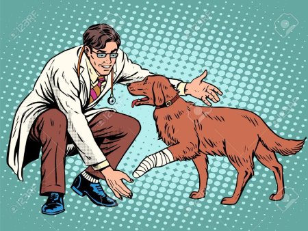 Ветеринар для детей