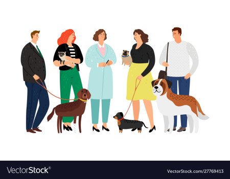 Ветеринар на прозрачном фоне