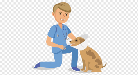 Ветеринар векторное изображение