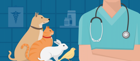 Ветеринар мультяшный