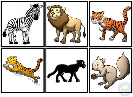 Карточки животных для детей