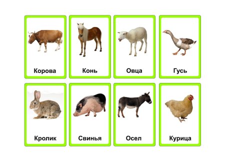 Карточки с животными для детей