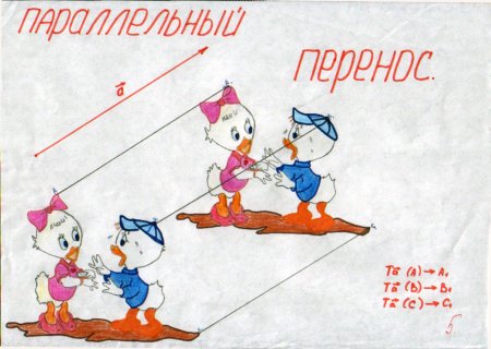 Параллельный перенос животные