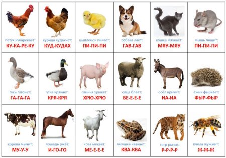 Карточки животные звукоподражание для детей