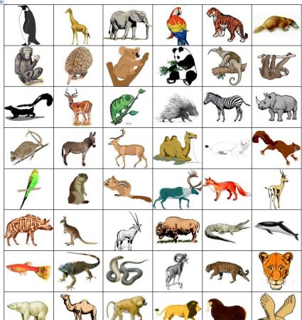 Карточки с животными