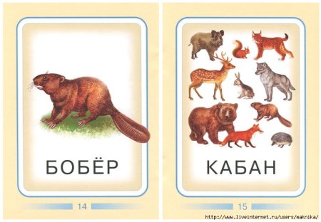 Карточки "Дикие животные"