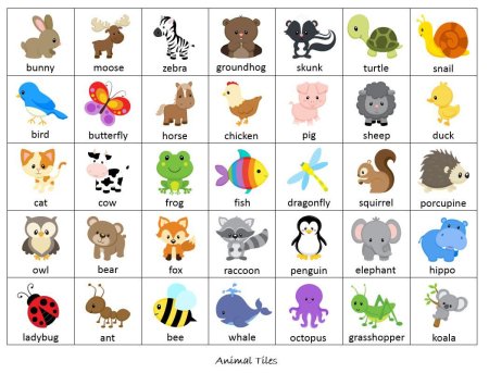 Домашние животные на англ яз для детей карточки