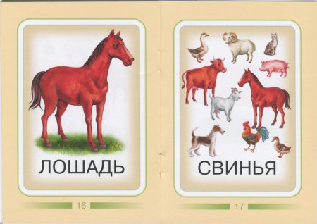 Домашние животныеарточки