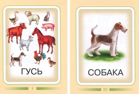 Карточки "домашние животные"