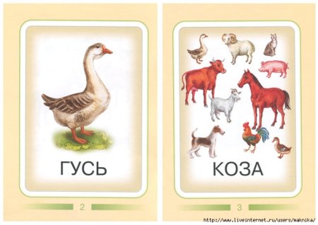 Карточки животные для детей