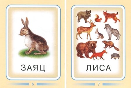 Карточки с животными для детей