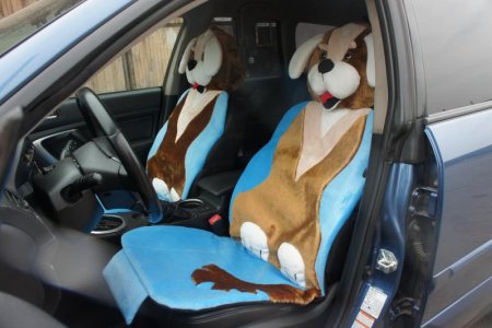 Авточехлы с рисунком