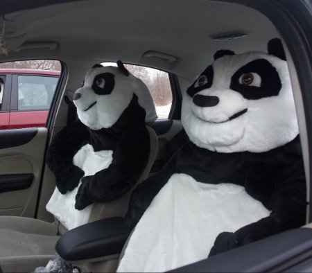 Чехлы PSV Olimpius