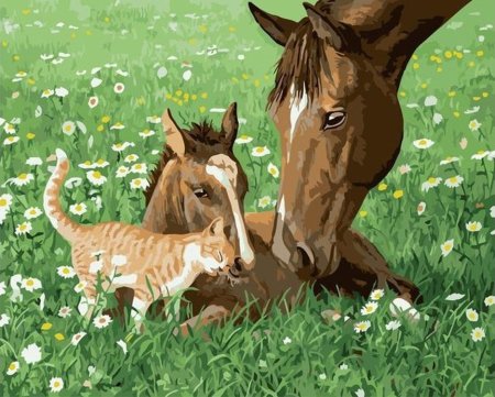 Persis Clayton Weirs художник лошадь