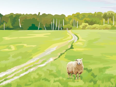 Поле рисунок